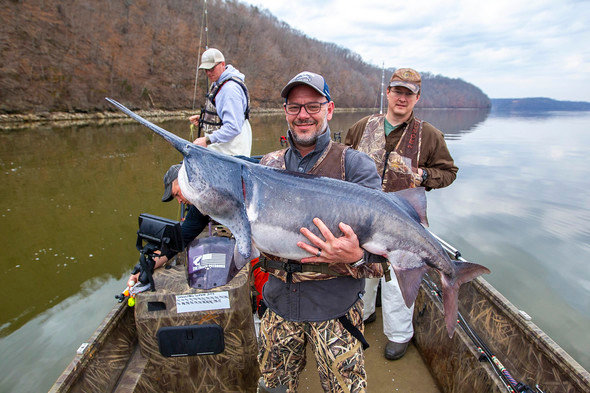 MDC reminds snaggers that paddlefish season begins March 15. Paddlefish snagging waters include Lake of the Ozarks, Truman Reservoir, and Table Rock Lake.