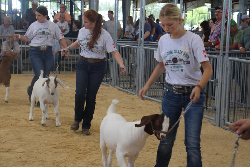 SHOWING GOATS at this year's Missouri State Fair was just one of many adventures for the Campell Clan, including oldest granddaughter, Amelia Roberts.