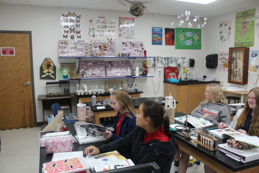 A DEDICATED SCIENCE LAB is part of a facilities enhancement plan at Clinton Christian Academy. David See’s upper-school science class is studying entomology and will be creating insect collections like those displayed in the classroom.