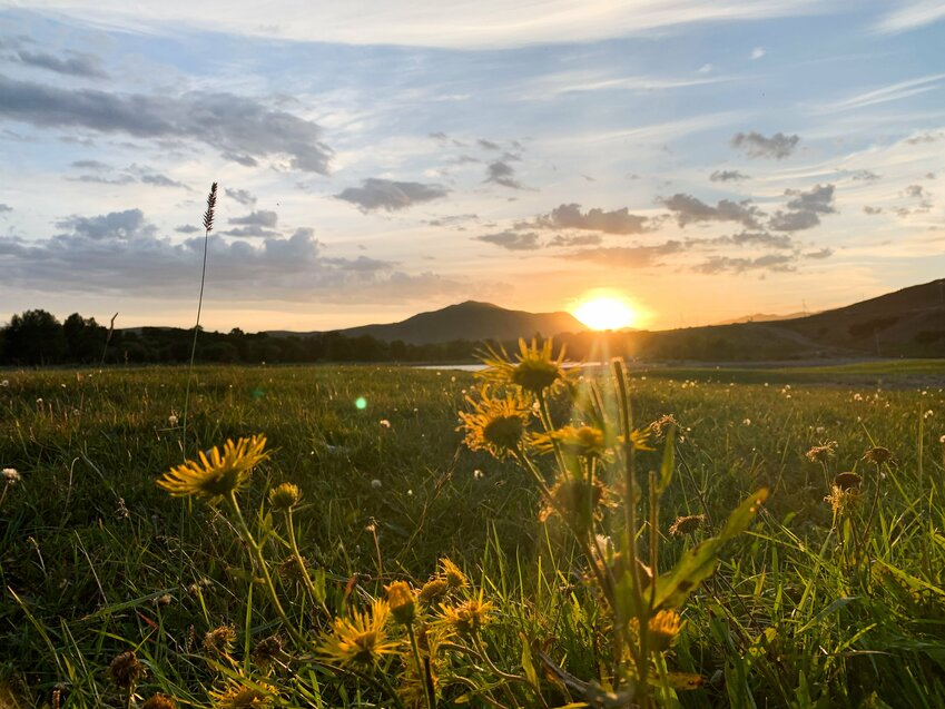 Flowers are seen in the foreground of a field while the sun sets over the Tuul River south of Ulaanbaatar, Mongolia, in this Sept. 1, 2023, photo.