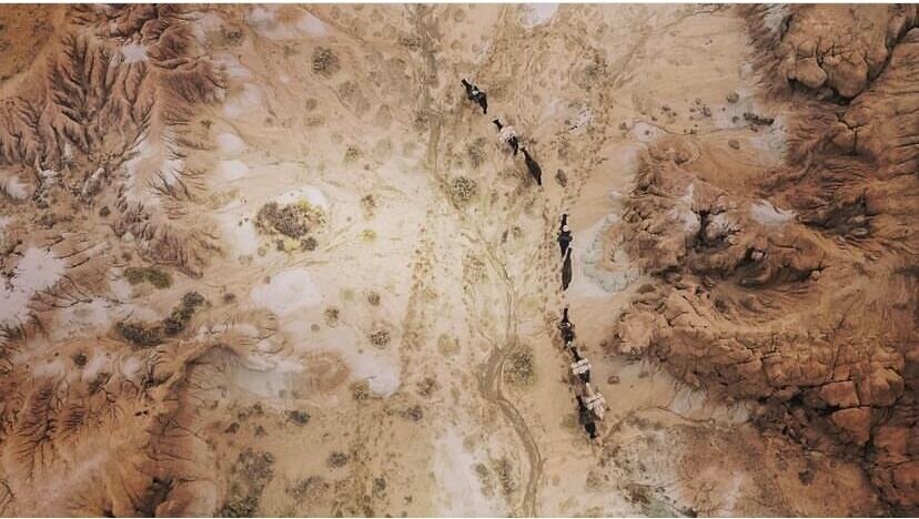Wild Desert Drone