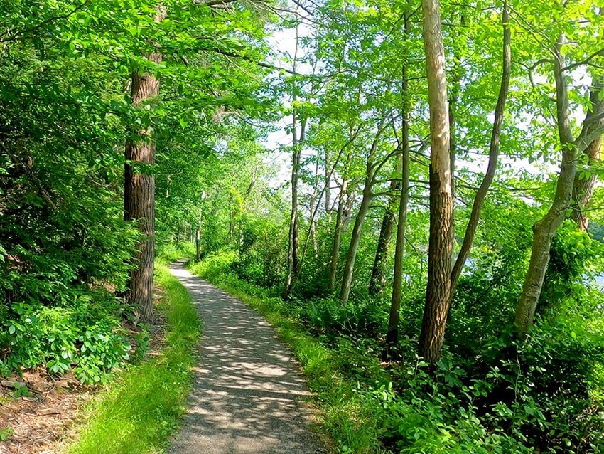 The Gordon College woods is a popular local destination for hiking, walking and with mountain bikers.
