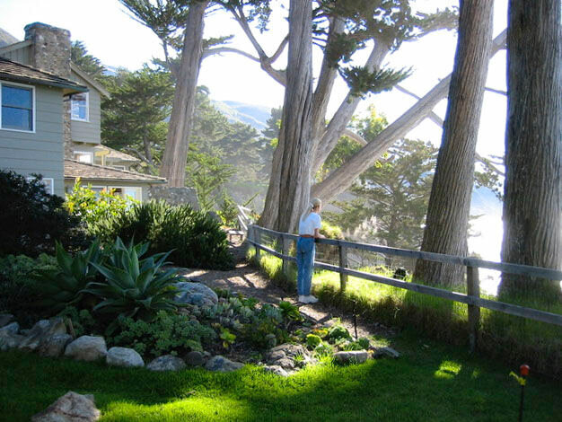 Cabins are the standard accommodations at Esalen, but there are higher end rooms in the “Big House” on the property.  (Photo: Larry Lamb)