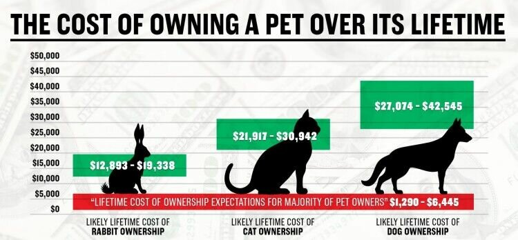 Cost of Pet Ownership