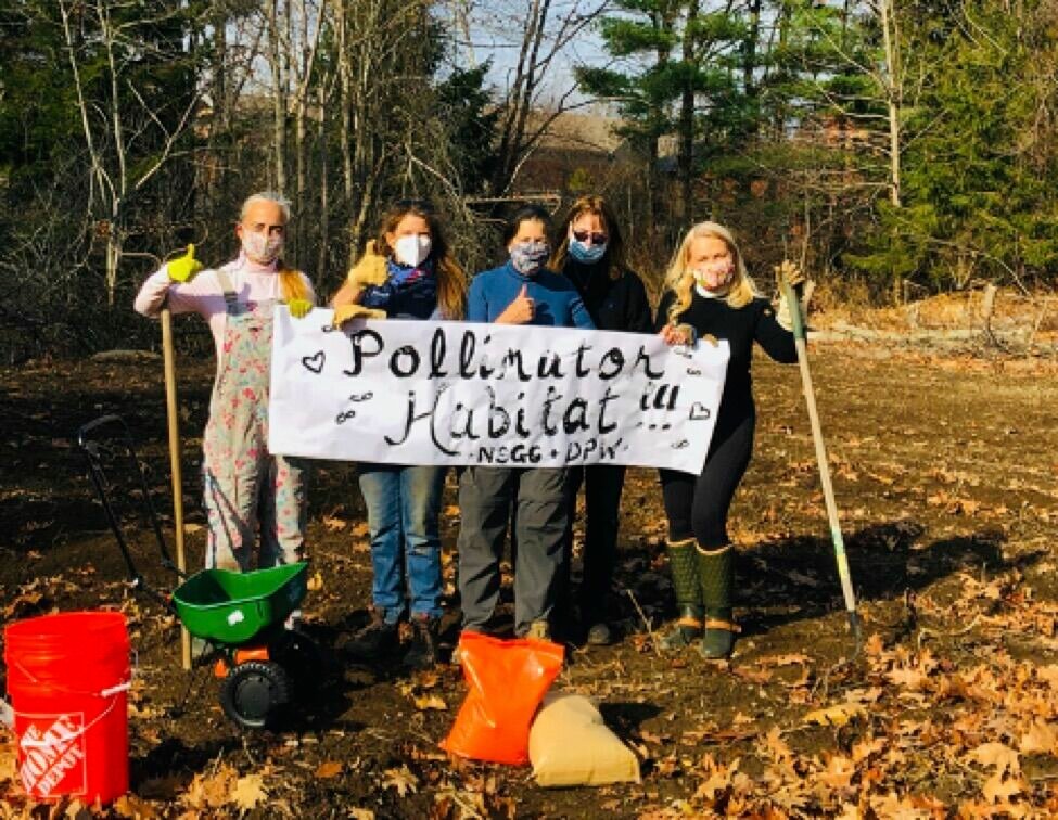 North Shore Garden Club Members planting pollinator habitat on Lincoln Street.  (Robin Sears, Gina Beinecke, Betsy Madsen, Jane Kadala, Melissa Landsvik) 