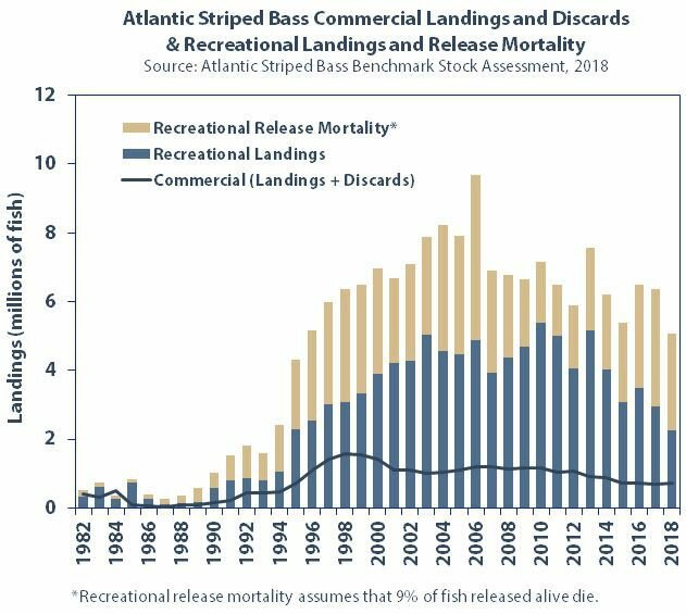 Historical catch and mortality data show the rebound of the striper fishery on the East Coast from 1990 through 2013, and its subsequent decline.  