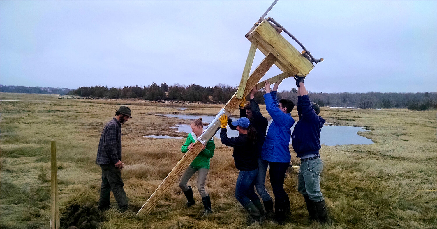 Volunteers helping erect a new nesting platform on the Essex Marsh in Essex, Mass. (Courtesy of Essex County Greenbelt Association)