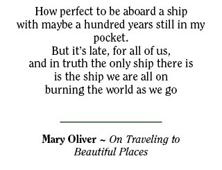 Mary Oliver On Beautiful Places