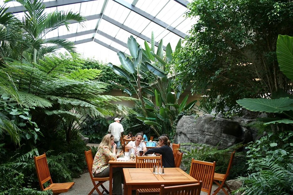 Doug Cook, owner of Gloucester-based Landesign, designed and implemented this interior garden project in Beverly.