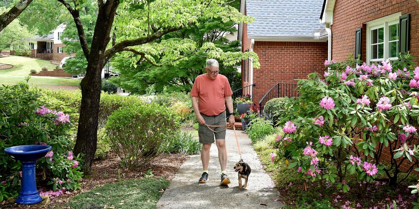 Rick Shireman walks his dog, Carson, along his Cartersville residence&rsquo;s pathway lined with various specimens, including rhododendron.