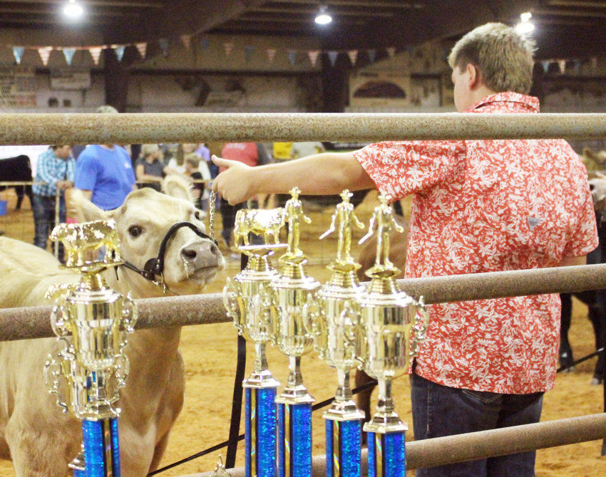 Area youth show off their livestock at Bryan County Free Fair The