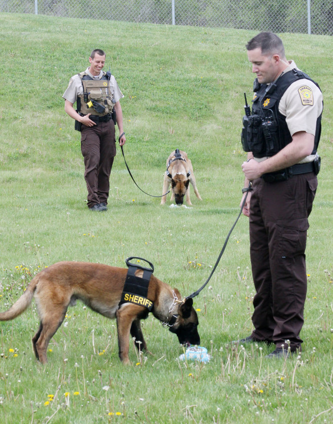 County's new K9, handler, begin training