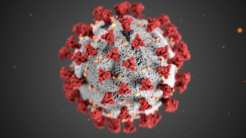This illustration, created at the Centers for Disease Control and Prevention (CDC), reveals ultrastructural morphology exhibited by coronaviruses.