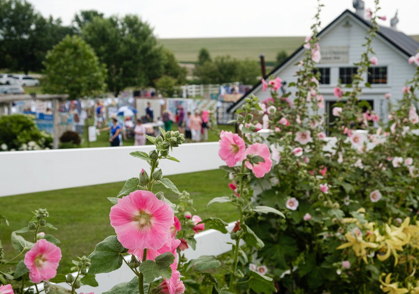 Visitors follow along a pathway of hollyhocks  in the foreground while others view displays of quilt in the background at the annual quilt show and garden walk Saturday at Doug and Teri Wolfe's farm.