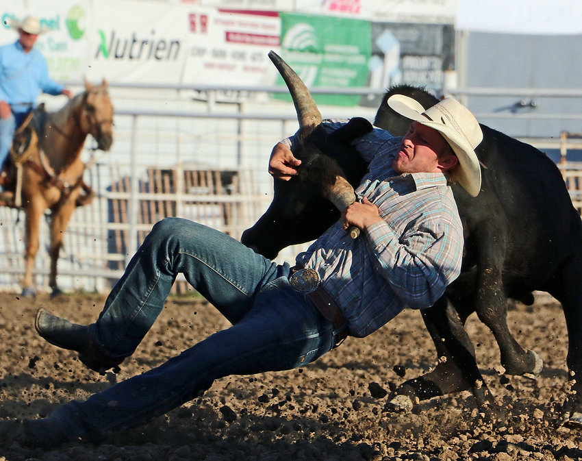 Austin Madison of Onawa, Iowa, competes in steer wrestling Saturday at the Washington County Fairgrounds.