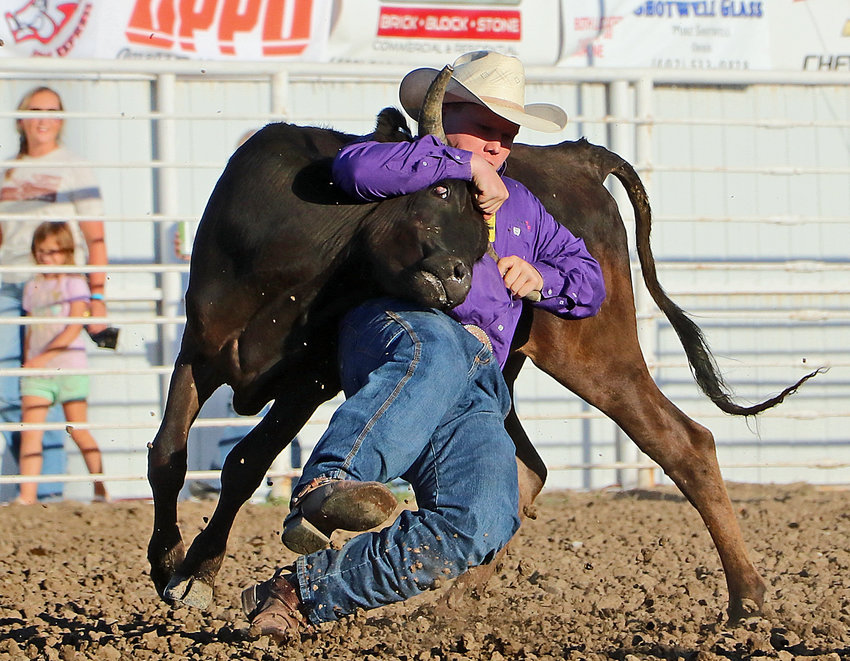 Sam Daly of Sidney, Iowa, brings a steer to the ground Saturday at the Washington County Fairgrounds.