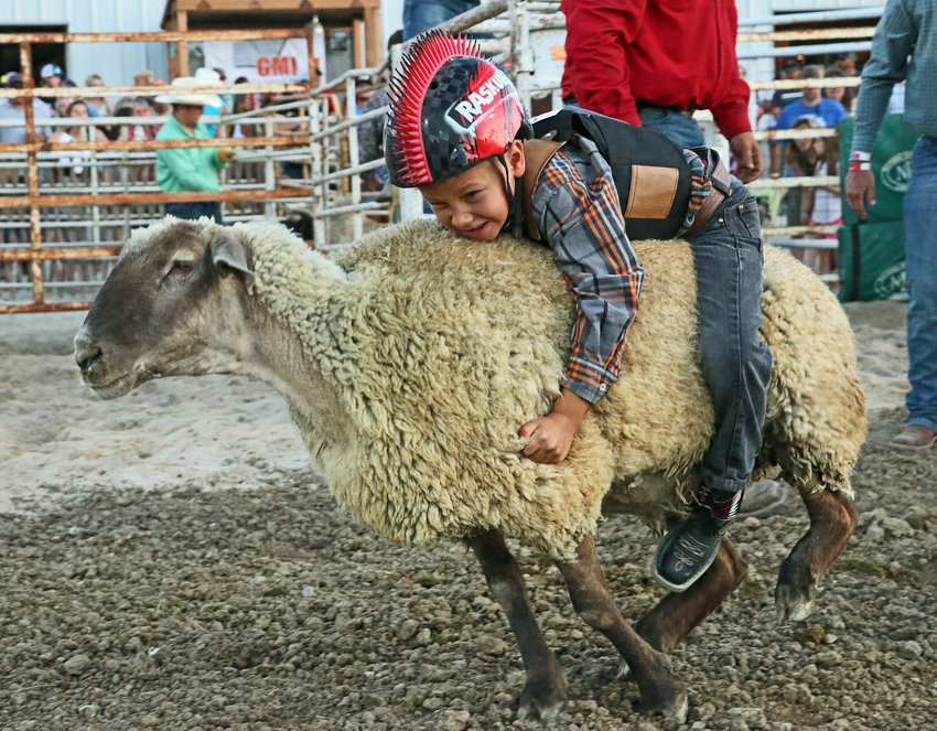 Gage Hanson, 7, of Blair rides a sheep Saturday at the Washington County Fairgrounds.