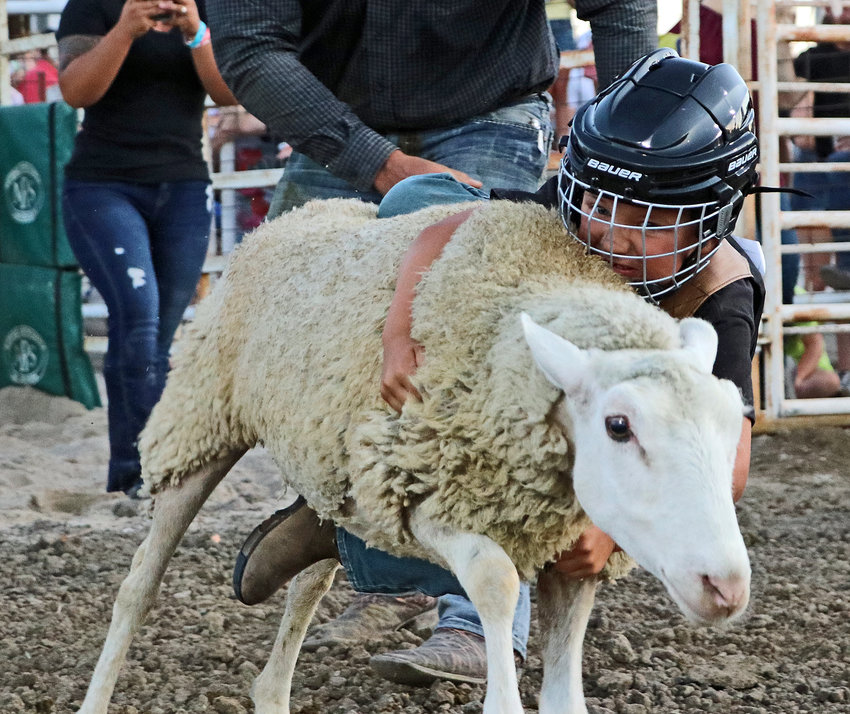 Eli Koziol, 5, of North Bend rides a sheep Saturday at the Washington County Fairgrounds.