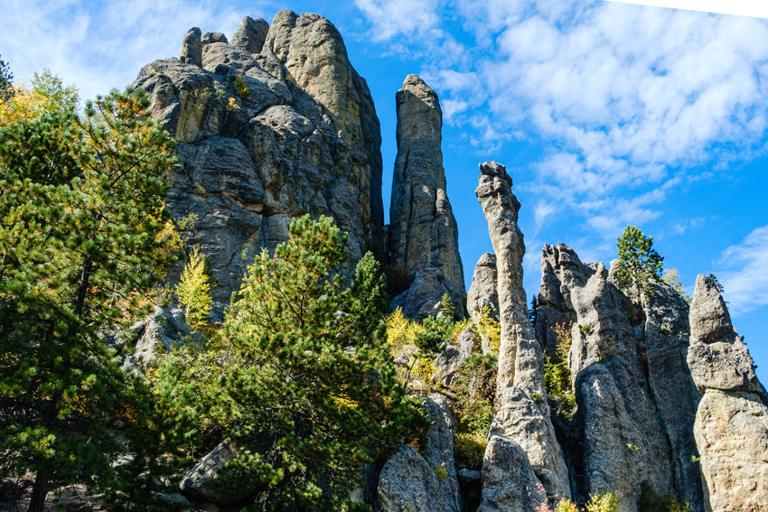 Thin eroded spires of granite along Needles Highway in Custer State Park.
