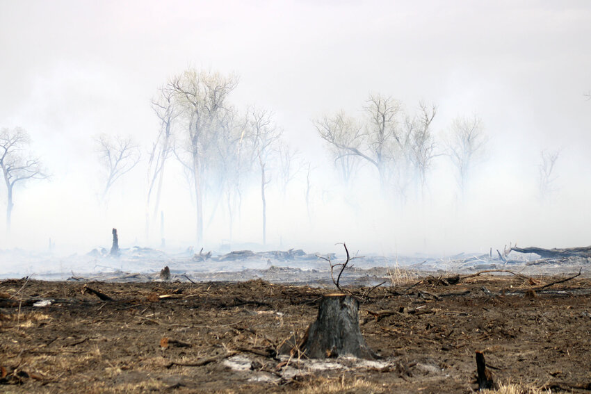 BREAKING: Brush fire re-ignited at DeSoto | Washington County Enterprise