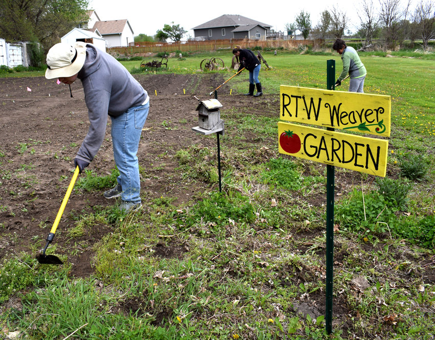 The Roots to Wings garden provides items for the summer farmer's market. Farmer Anthony Marcucci (front), Hillery Mruz (back left) and Sheila Monke, co-founder, clear the ground of weeds.