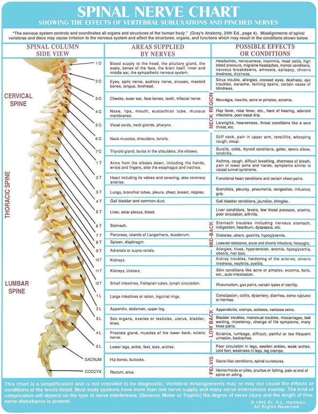 Chiropractic care can treat more than just bad backs | Washington ...