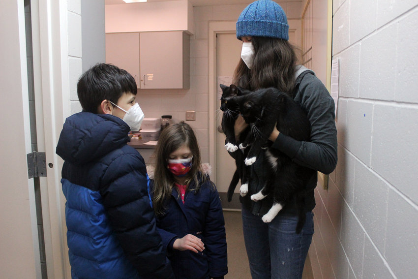 Theo, Lily and Leigh Hinrichs volunteer their time every week at the Jeanette Hunt Blair Animal Shelter by playing with and feeding the cats, as well as cleaning.