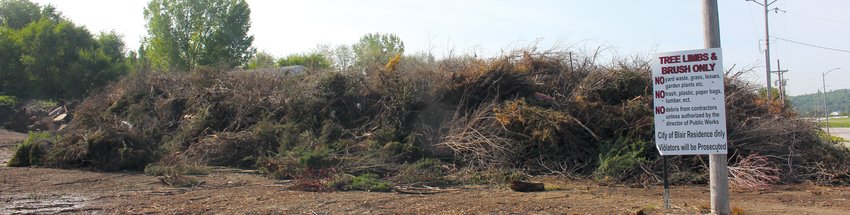 Changes may soon come to the City of Blair's tree ordinance to curb the misuse of the city's brush pile.