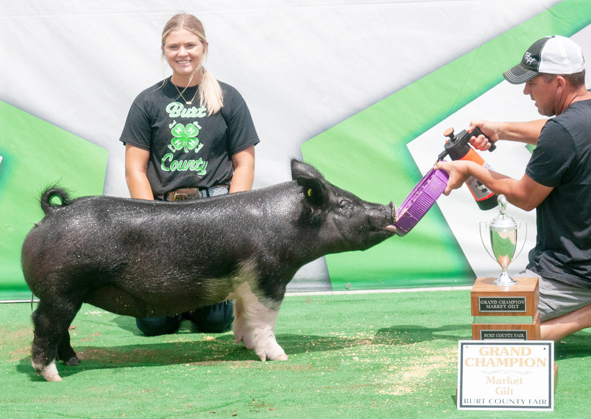 In the market classes, it was Anna Karnopp&rsquo;s 268-pound middleweight gilt that took top spot among the market gilts.