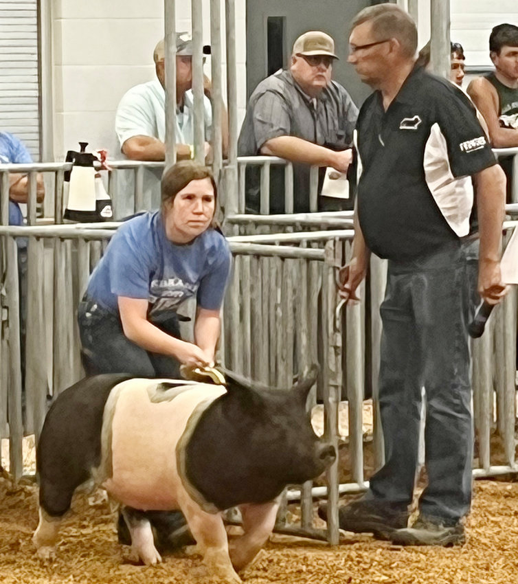 Sydney Olsen of LDNE had herself and her FFA hog laser focused at the Nebraska State Fair..
