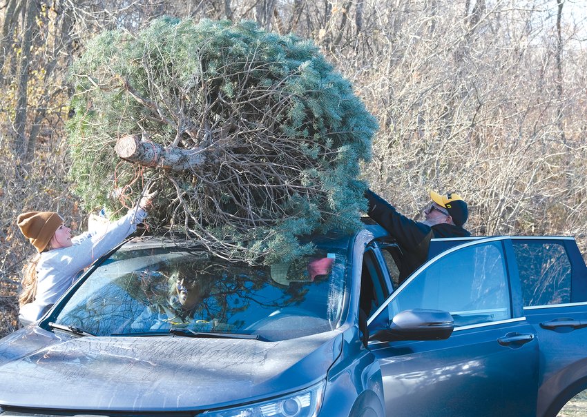 A Frosty&rsquo;s Pines helper and Cory Carter secure the tree to car roof on Frosty's Pines opening day, Nov. 25.