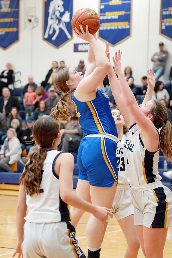 Sophia Vacha #22 battles her way up for the shot over the Raymond Central defense.  Sophia scored 5 points, had 3 rebounds and 2 assists in the game.