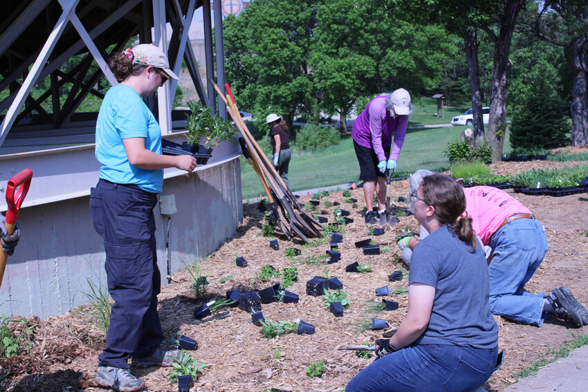 The Native Planters of Blair group planted many native plants at Black Elk-Neihardt Park Monday morning.