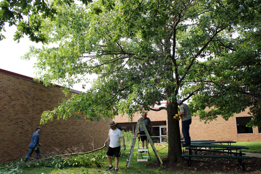 Volunteers assisted in trimming trees and other yard work projects at Arbor Park School Saturday morning.