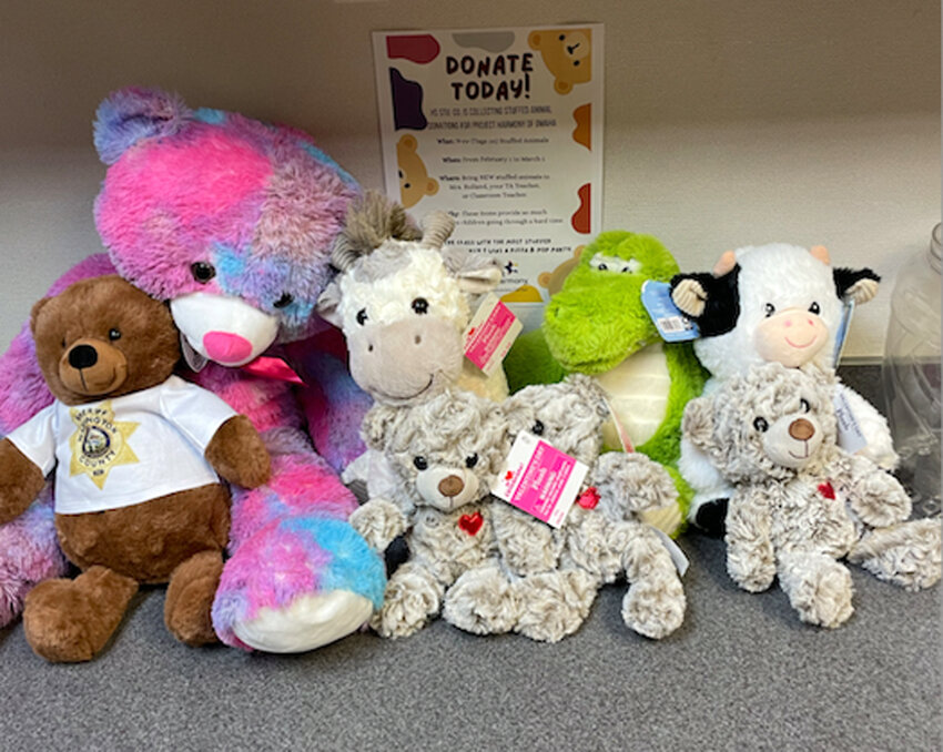 Several stuffed animals have already been donated to the Student Council-sponsored stuffed animal drive for Project Harmony at Arlington High School.