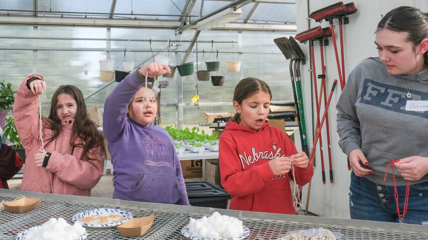 Third grade students make corn necklaces Thursday in the Blair High School greenhouse.