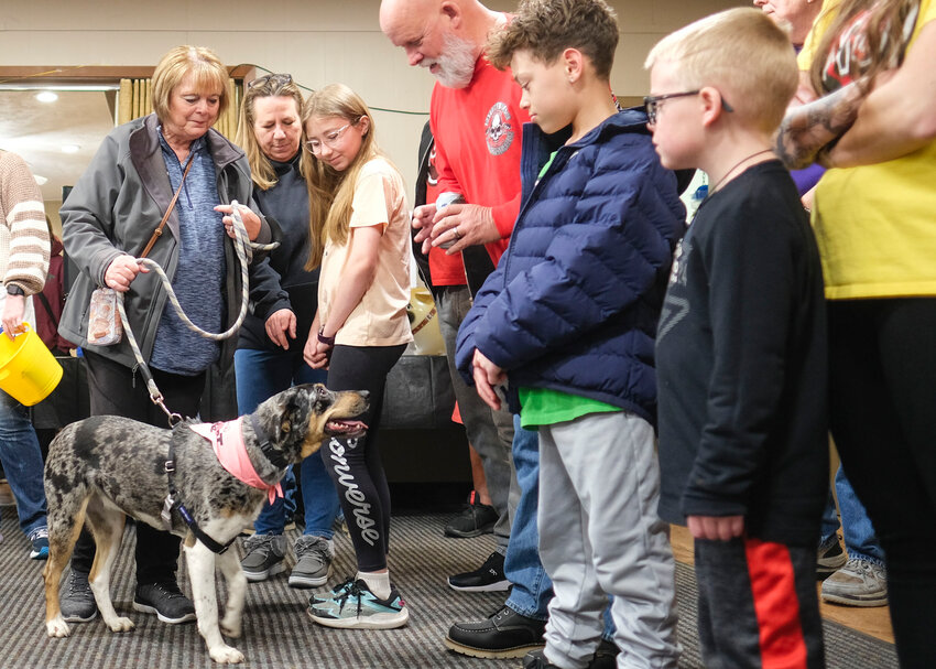 Special guests at the annual Mandy Jo Rounds Foundation Fundraiser included animal shelter dogs Sunday at the Hain-Flynn American Legion Post 104 in Blair.