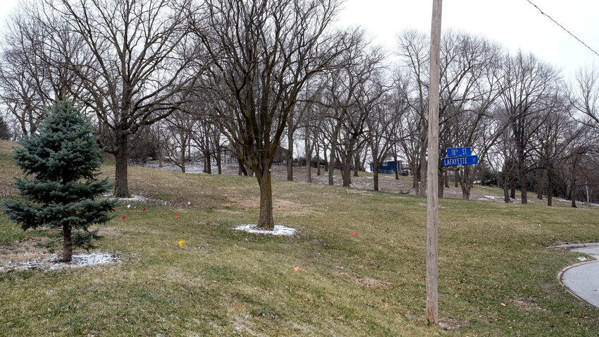 This general area in Ralph Steyer Park has been approved by the Blair City Council as the site for Blair's first dog park. .