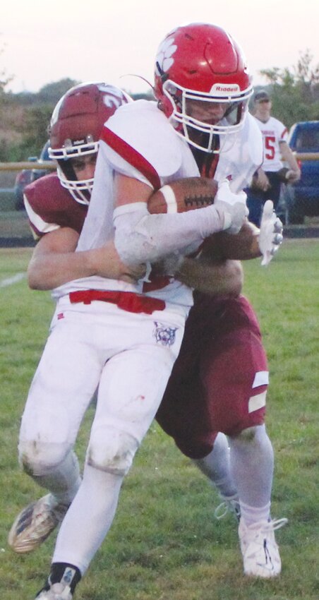 Tyler Archer records a TFL as he takes down a Wildcat.
