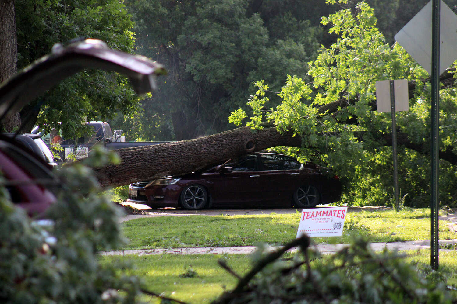 Early Friday storm causes power outages, tree damage | Washington ...