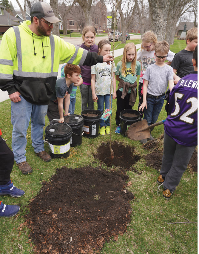 Arbor Day was April 29, but rain postponed some Arbor Day activities until last Friday. Students from Tacy Boldt&rsquo;s third-grade class at Laura Ingalls Wilder Elementary School walked over to Washington Park to help plant a tree in honor of Arbor Day. The class planted a Crimson Cloud Hawthorn on the north side of the park with assistance from the Kingsbury Conservation District and City of De Smet employees Jason Springer and Karen Hansen.