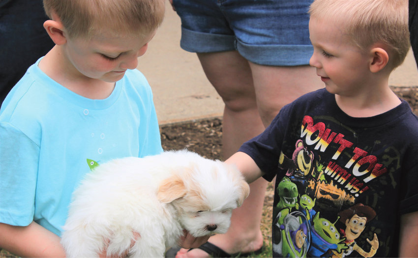 Terrance and Jasper Hesse cuddle with a Lhasa Apso puppy that Jaxson Long brought to the petting zoo.