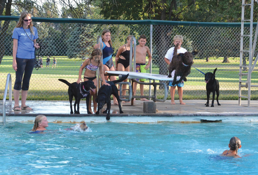 Dogs and their owners enjoyed the last hour of the De Smet swimming pool season on Thurs., Aug. 18.