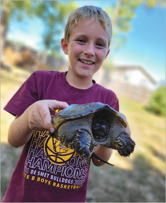 Drake Ransom likes to net for frogs, crawdads and turtles. This shy turtle was released to his home after hiding from the photographer. Turtle soup is not on the menu tonight!