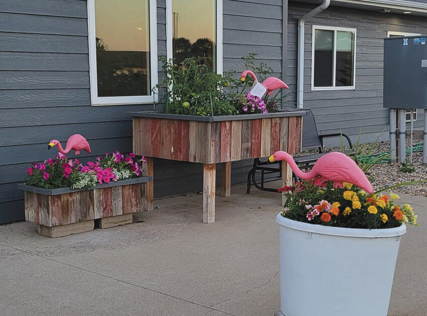 Bill and Mary Rockino's house got &quot;flocked&quot; with flamingos last Sunday. What a great way to raise funds and awareness for the Kingsbury County Cancer Walk! &quot;We never heard them &quot;fly in&quot; before!&quot; said the Rockinos.