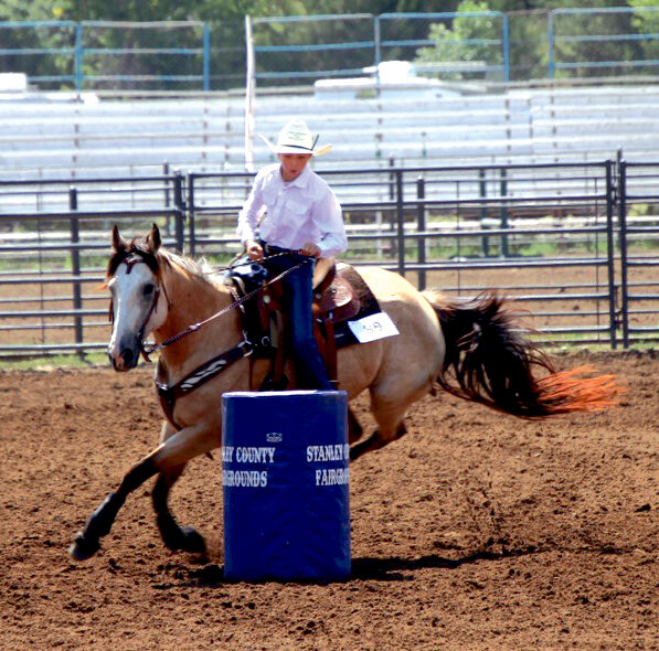 2023 State 4 H Horse Show Results Kingsbury Journal