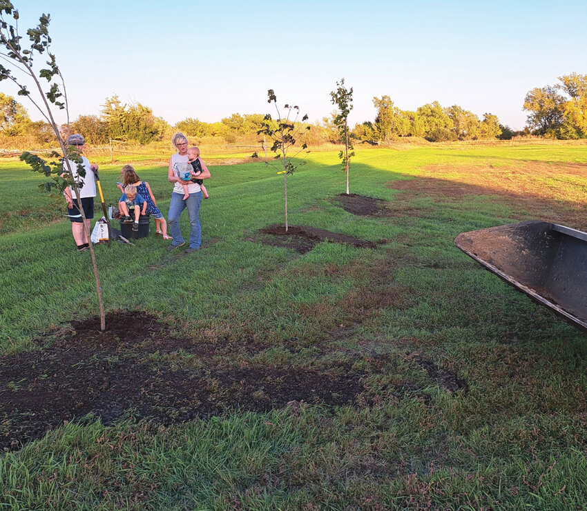 The Iroquois Area Community Club recently planted eight trees in the city park. These trees were purchased with a grant from Beadle and Spink Enterprise Community (BASEC) and a donation from Jim Hulbert.