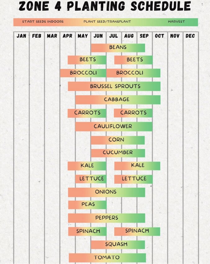 This chart shows the best time to start, plant and harvest garden vegetables.