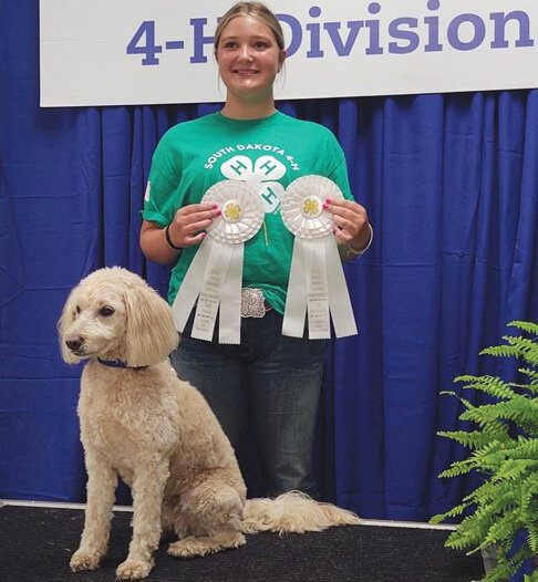 Kate Framstad and her dog Pete of De Smet competed in the 4-H Central Regional Dog Championship held Aug. 17 in Mitchell, earning the following awards. Showmanship &ndash; Purple Rally Intermediate &ndash; Blue Agility Off Leash &ndash; White Obedience Pre-Novice &ndash; 3rd Place Dog Skillathon &ndash; 3rd Place