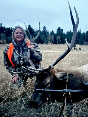 West River Bull Elk 